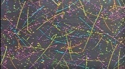 Paint Splatter Fabric